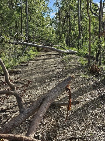 An Update From Coomera Valley Rural Fire Brigade